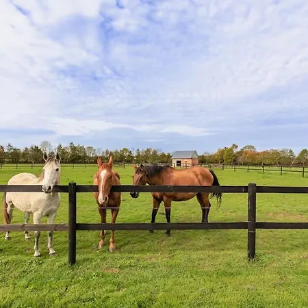 Σπίτι διακοπών De La Garenne - Chaleureux Avec Piscine